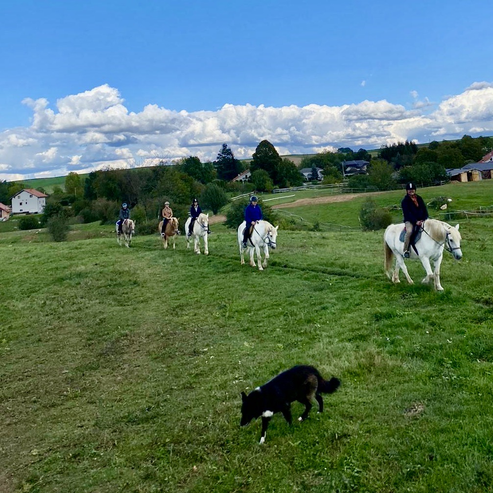Horseback riding near Plitvice Lakes National Park in Croatia. A border collie accompanied us on our ride through hills and forest.