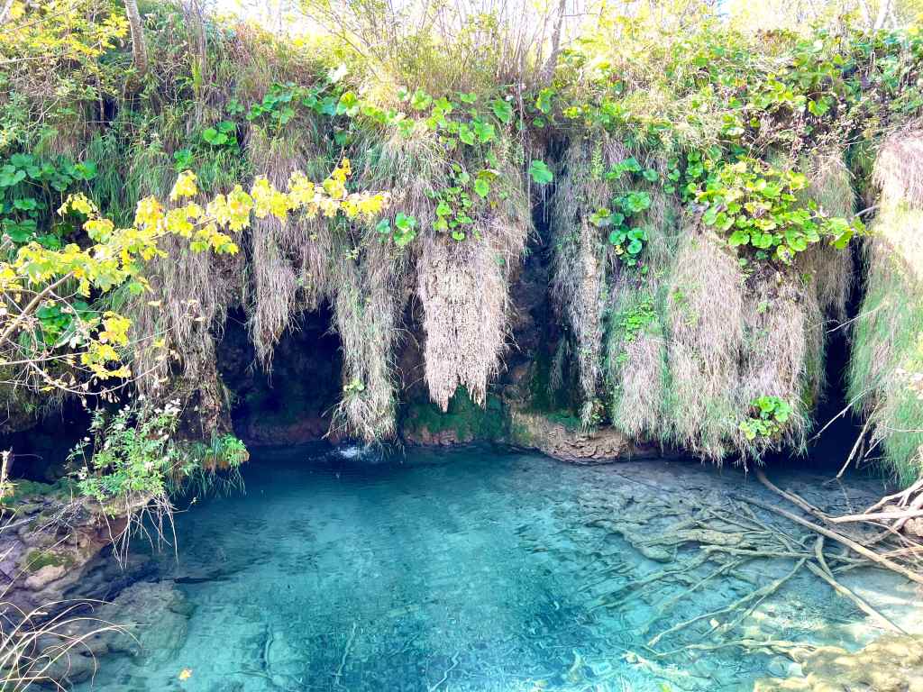 One of the many beautiful views in Plivice Lakes National Park.